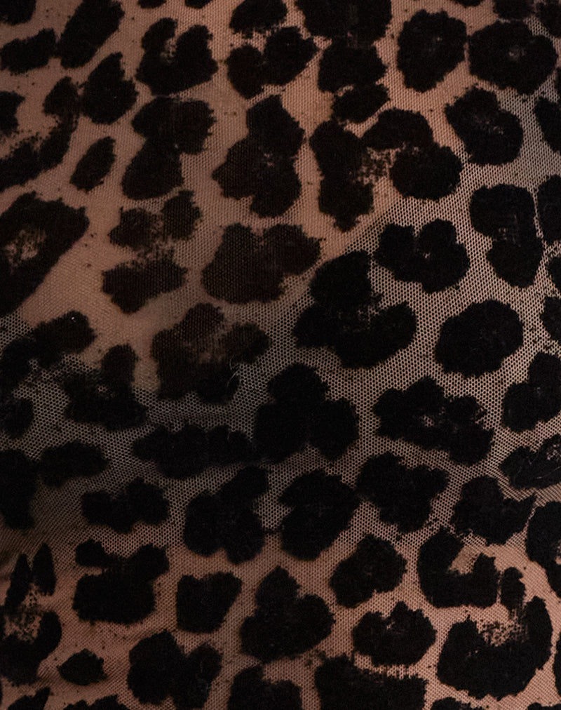 Noelle - Leopard Flocked Mesh Top