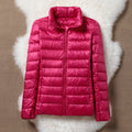 Light Red